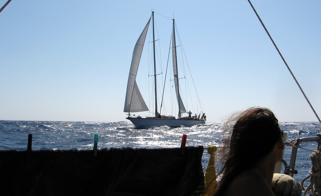 6-os szel